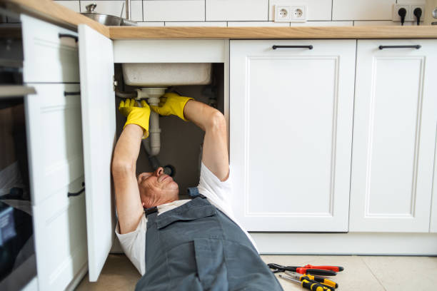 Best Toilet Repair Services  in Moline, IL