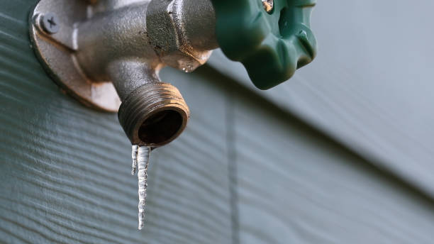 Best Local Plumber Services  in Moline, IL