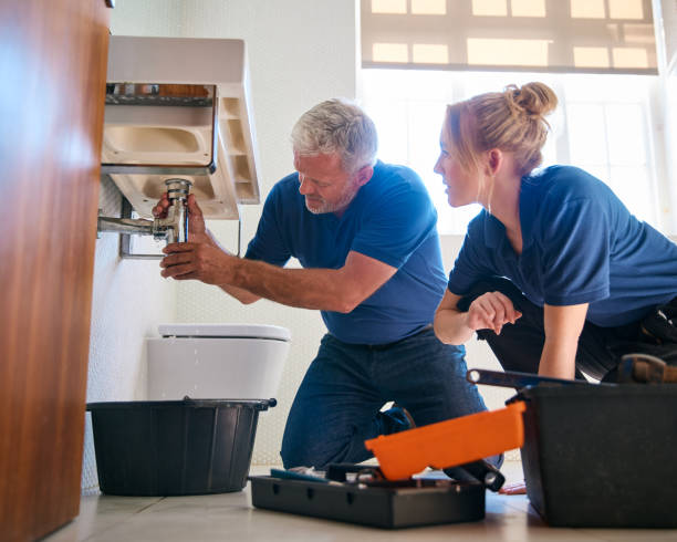 Best Plumbing Repair Near Me  in Moline, IL